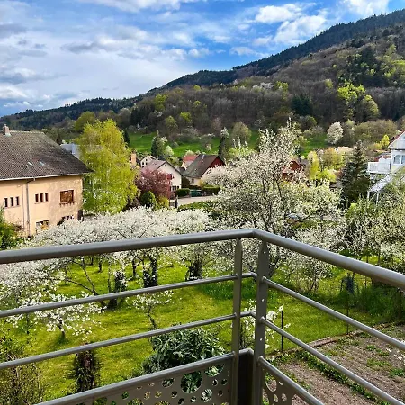 Lumineux A Avec Grand Jardin Apartment *